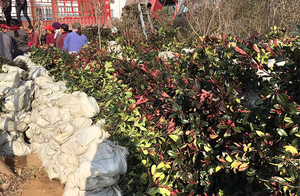 貼心服務，讓您安心無憂